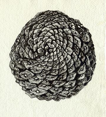 Pine Cone