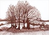 Long Meadow 2 by Jackie Abey, Drawing, Pen on Paper