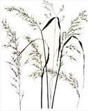 Meadow Grass 2 by Jackie Abey, Drawing, Pen on Paper