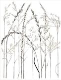 Meadow Grass 3 by Jackie Abey, Drawing, Pen on Paper