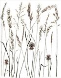 Meadow Grass 4 by Jackie Abey, Drawing, Pen on Paper